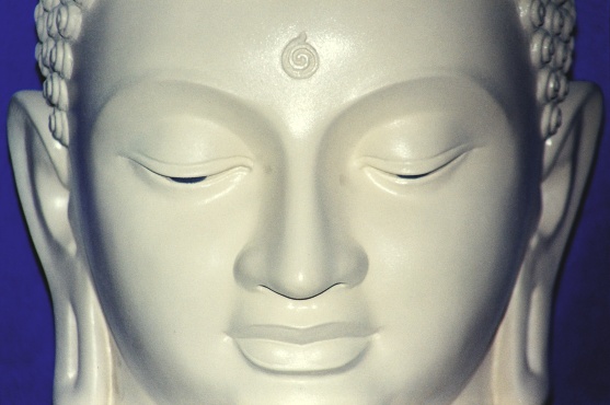 Buddha-Dhamma
