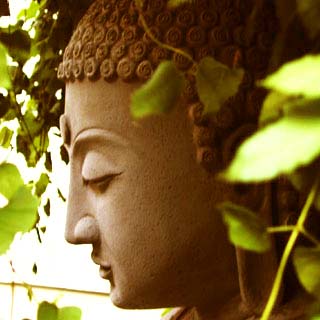 Buddha profil 6